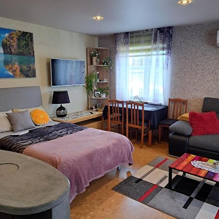 Metsakodu Apartment Torva Luaran gambar